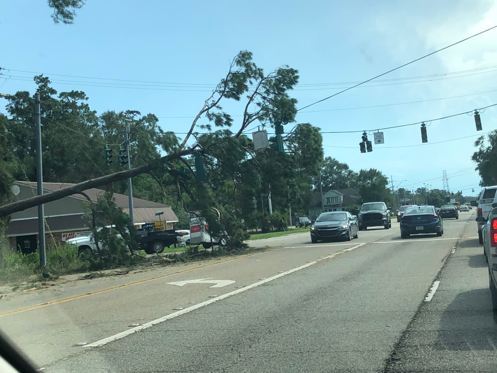 Tree down across the lines
