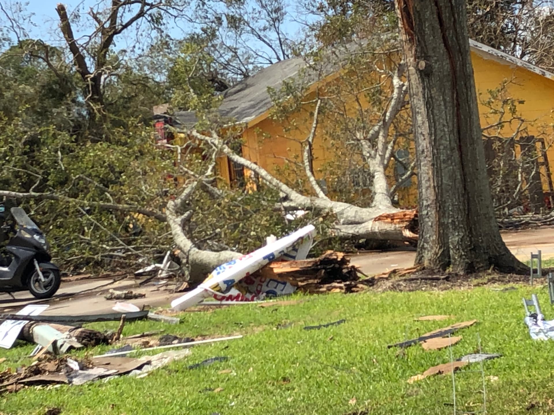 Oak down on the house