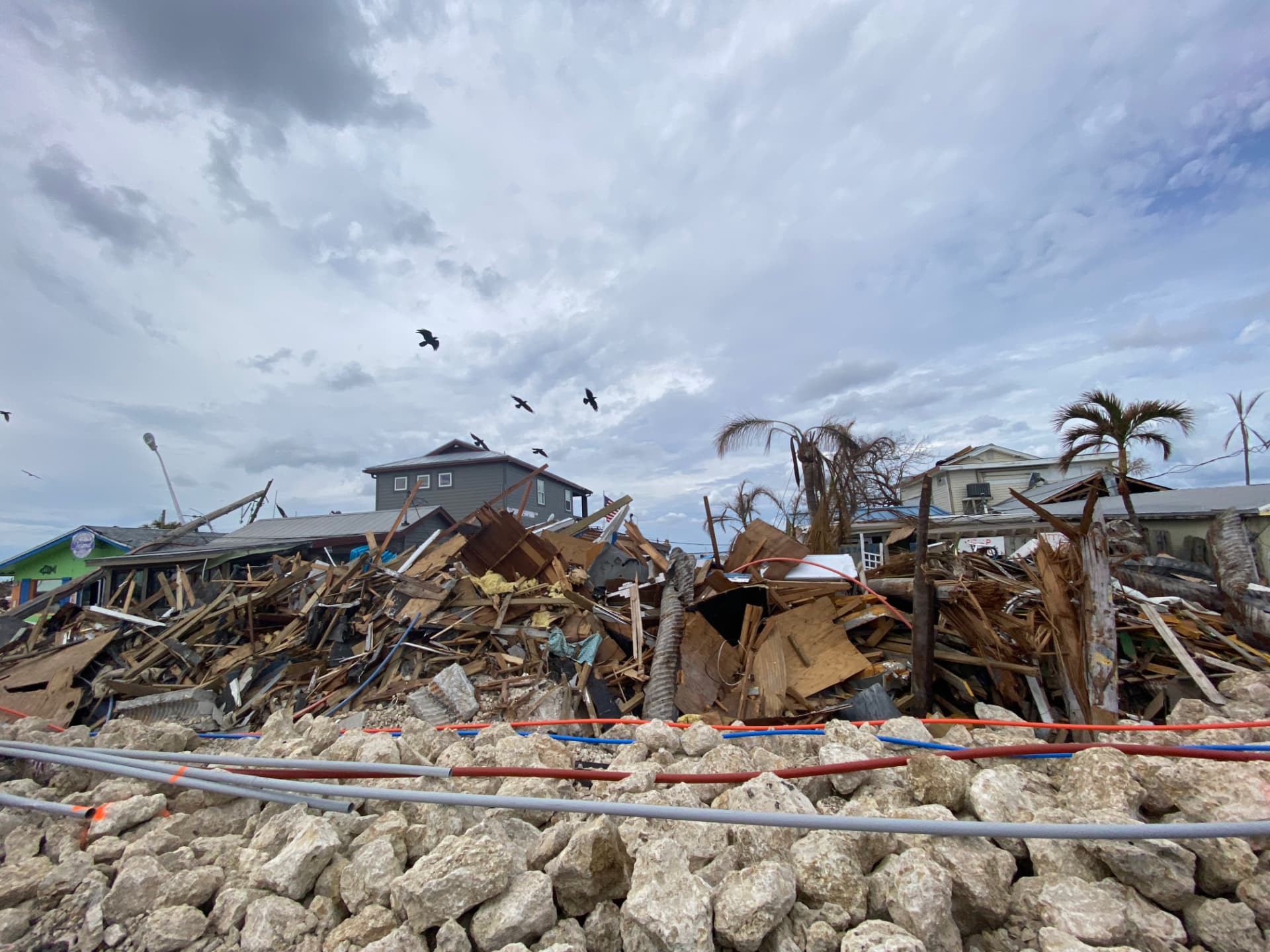 Piled up along the shore
